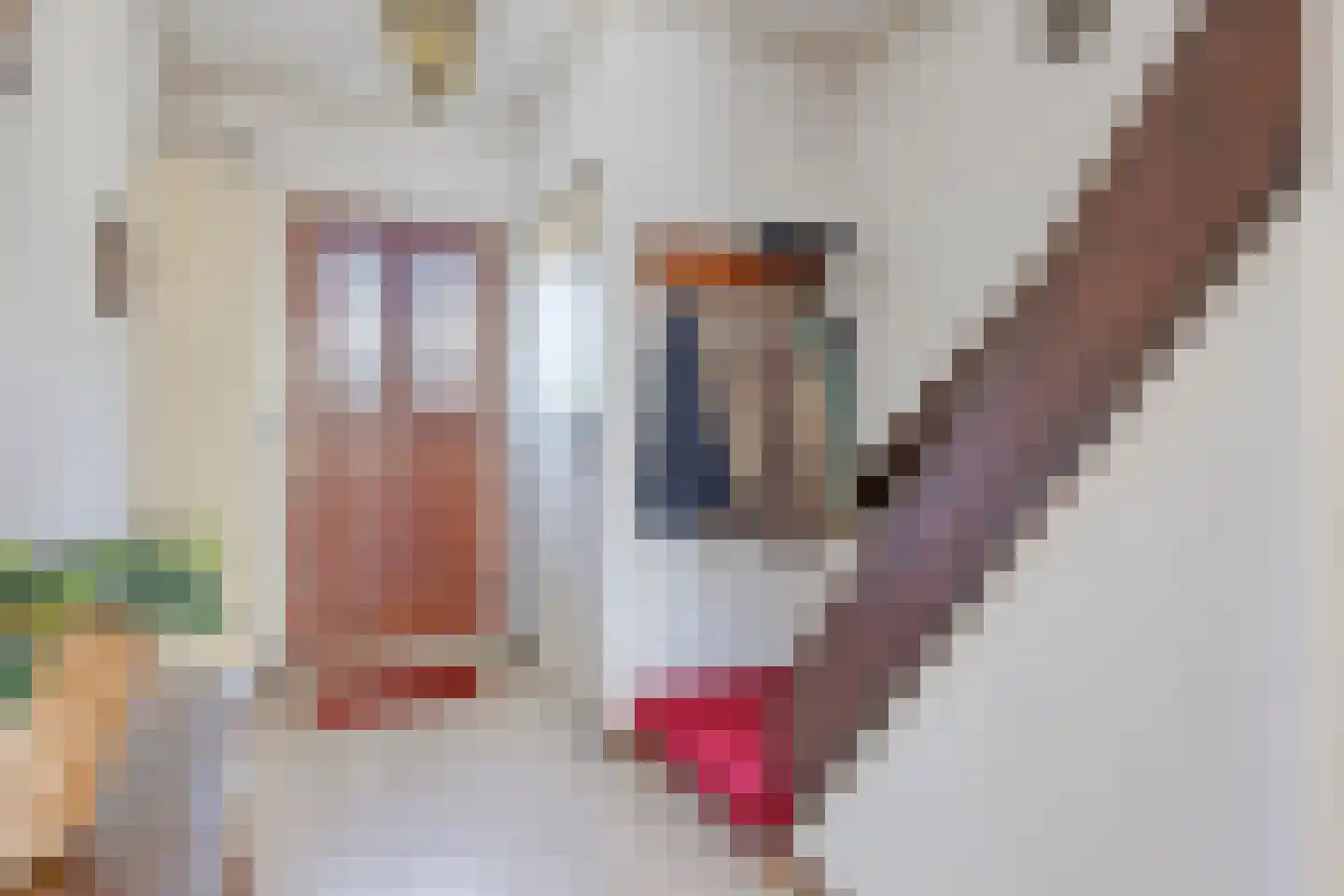 Nieuwe Heikantstraat 20 Vught thumbnail 12