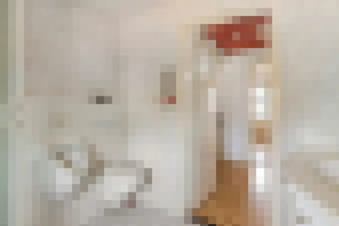 Nieuwe Heikantstraat 20 Vught thumbnail 18
