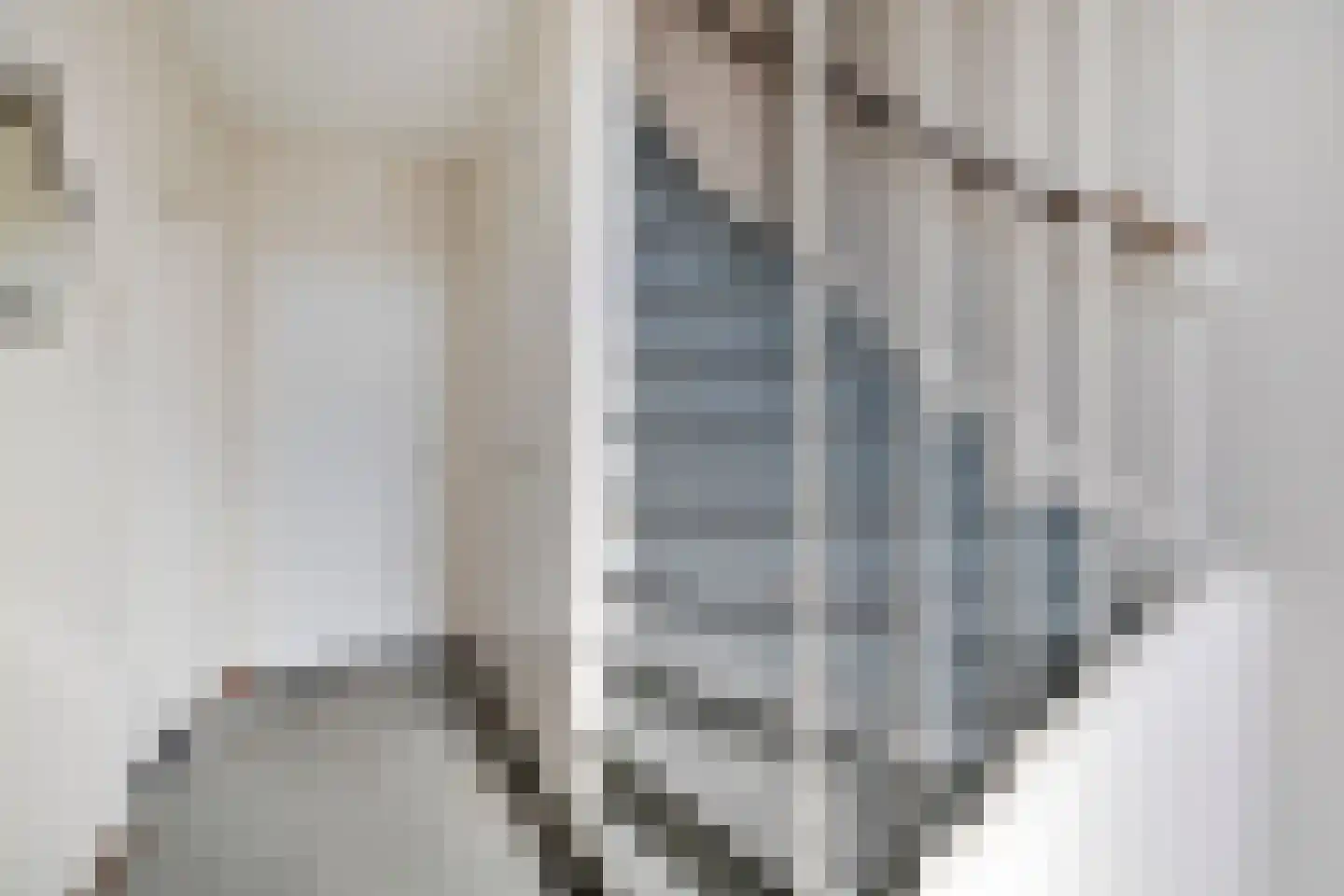 Nieuwe Heilaarstraat 14 Breda thumbnail 6