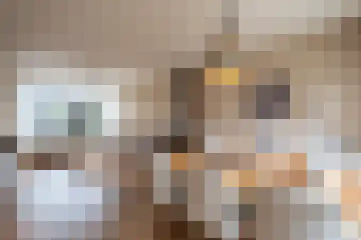 Nieuwe Heilaarstraat 22 Breda thumbnail 11