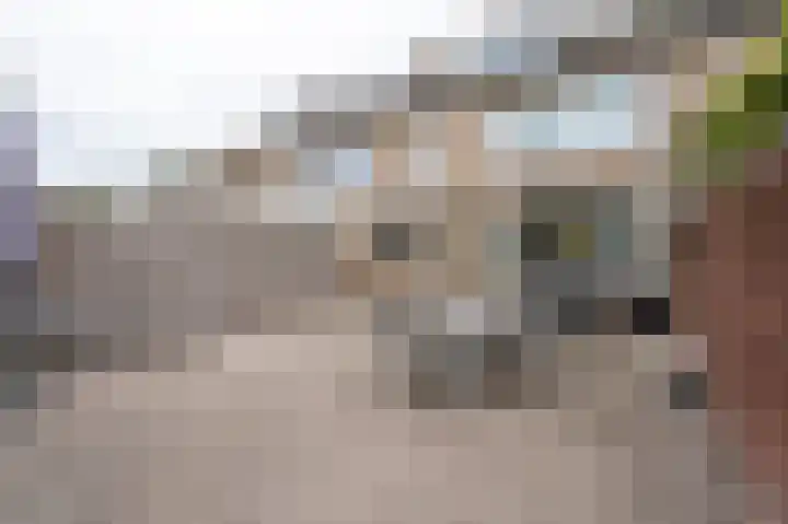 Nieuwe Heilaarstraat 22 Breda thumbnail 26