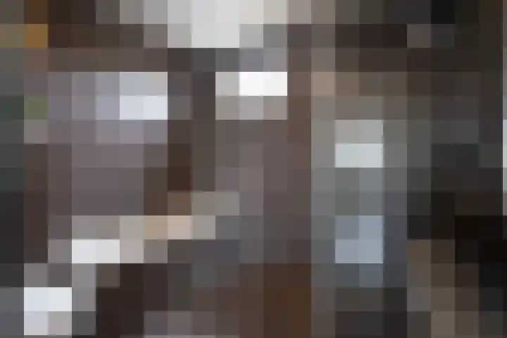 Nieuwe Heilaarstraat 22 Breda thumbnail 4