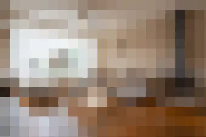 Nieuwe Heilaarstraat 22 Breda thumbnail 8