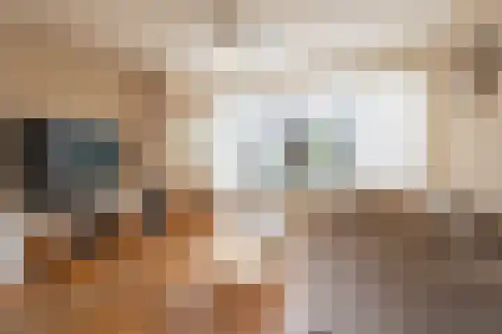Nieuwe Heilaarstraat 22 Breda thumbnail 9