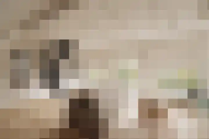 Nieuwe Herengracht 113 C Amsterdam thumbnail 12