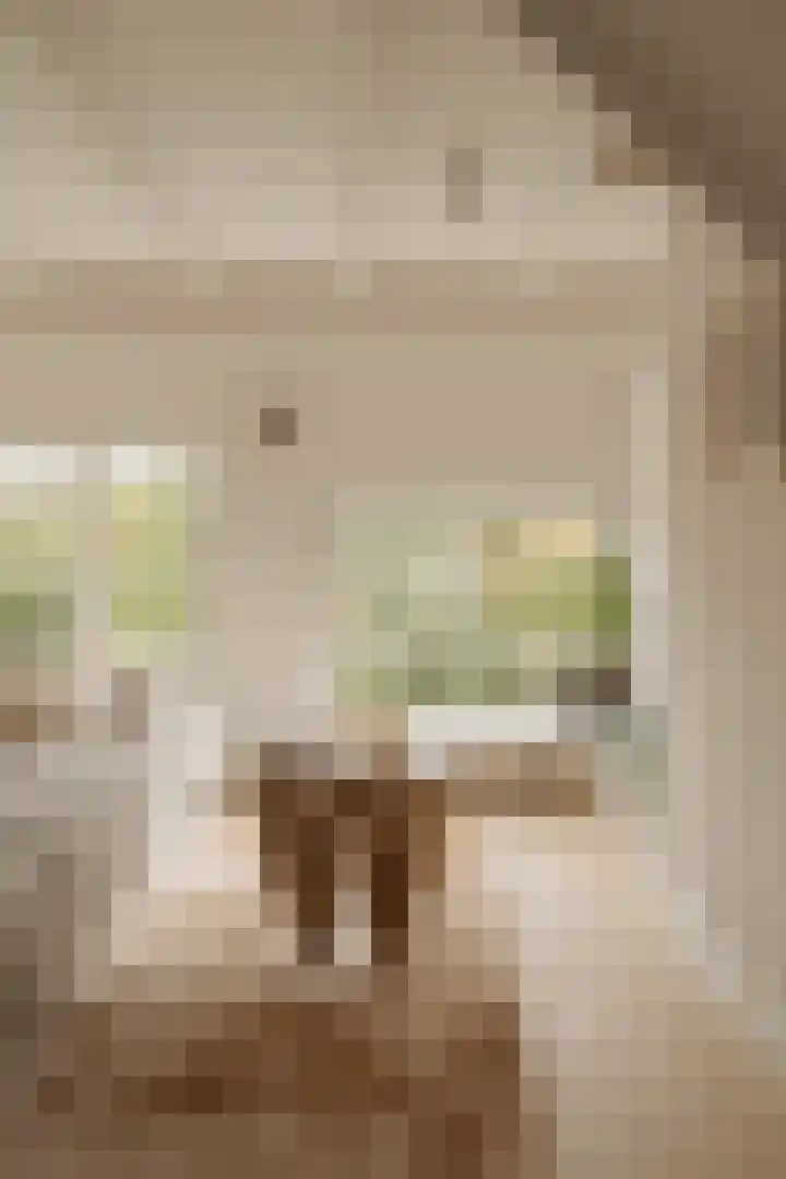 Nieuwe Herengracht 113 C Amsterdam thumbnail 14
