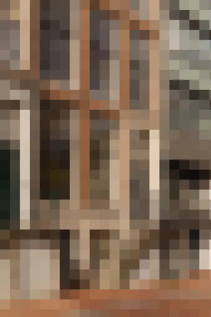 Nieuwe Herengracht 113 C Amsterdam thumbnail 4