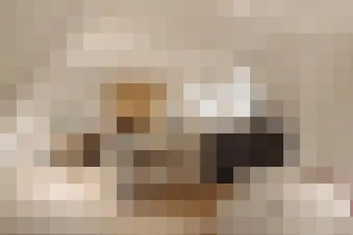 Nieuwe Herengracht 113 C Amsterdam thumbnail 6