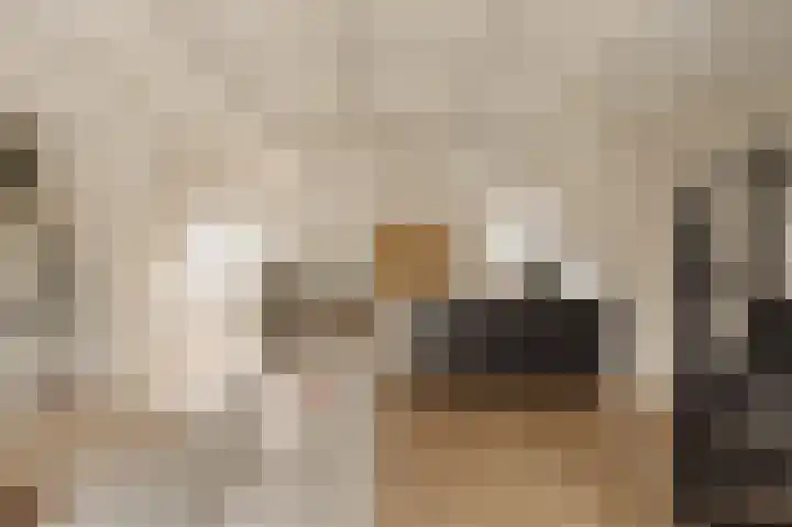 Nieuwe Herengracht 113 C Amsterdam thumbnail 7