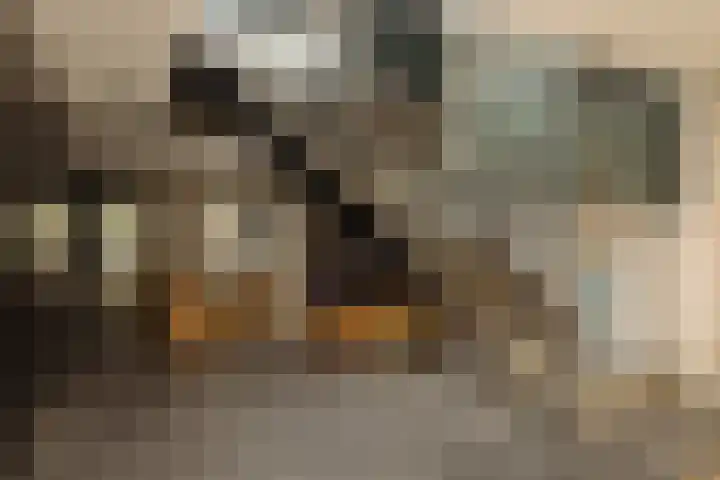 Nieuwe Herengracht 117 Amsterdam thumbnail 10