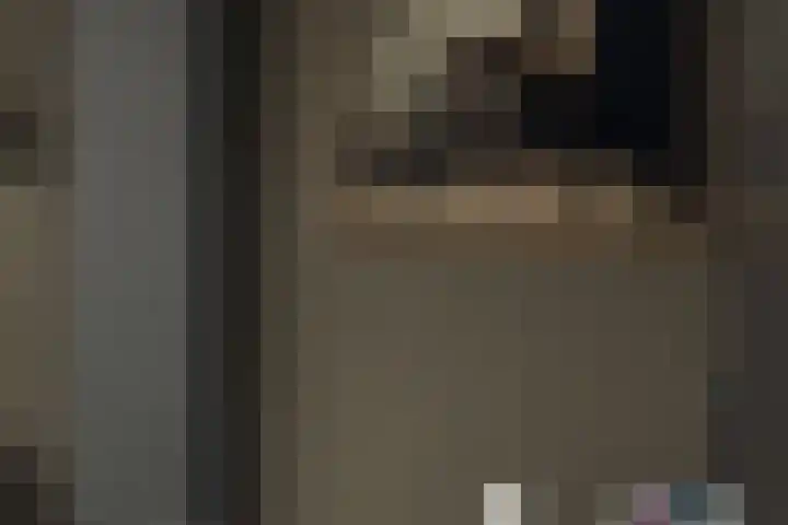 Nieuwe Herengracht 117 Amsterdam thumbnail 11