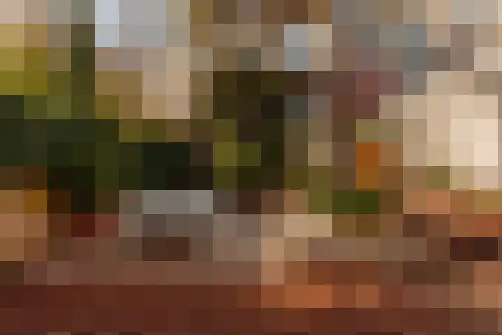 Nieuwe Herengracht 117 Amsterdam thumbnail 13