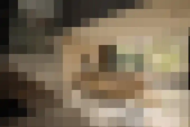 Nieuwe Herengracht 117 Amsterdam thumbnail 4