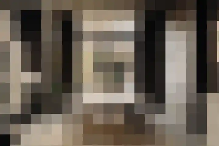 Nieuwe Herengracht 117 Amsterdam thumbnail 8