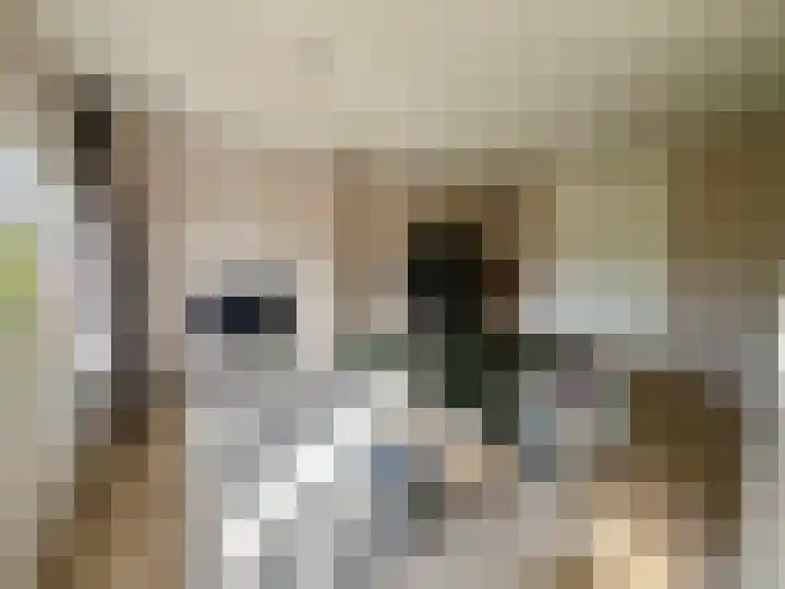 Nieuwe Herengracht 29 D Amsterdam thumbnail 16