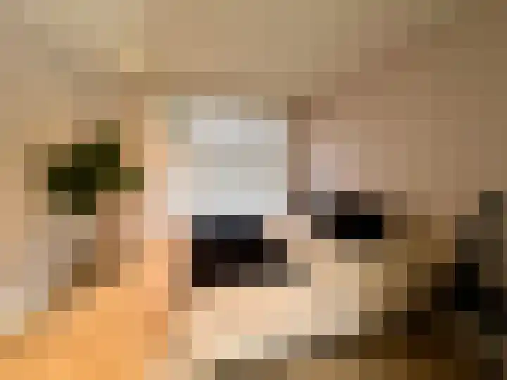 Nieuwe Herengracht 29 D Amsterdam thumbnail 17