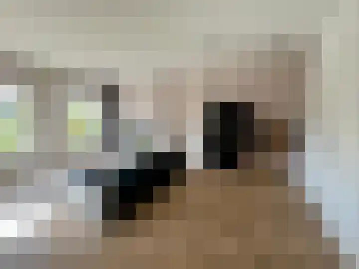 Nieuwe Herengracht 29 D Amsterdam thumbnail 4