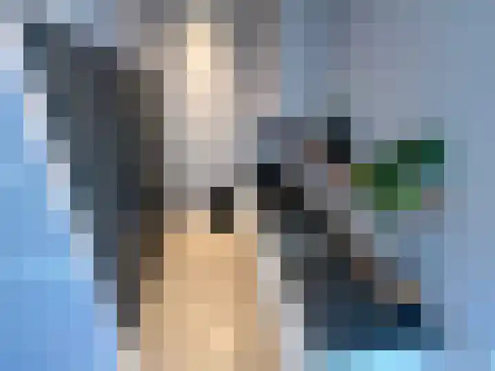 Nieuwe Herengracht 29 D Amsterdam thumbnail 5