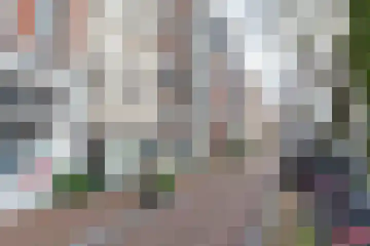 Nieuwe Herengracht 5 2 Amsterdam thumbnail 4