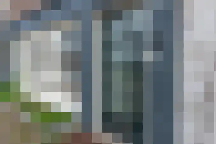 Nieuwe Herengracht 5 2 Amsterdam thumbnail 6