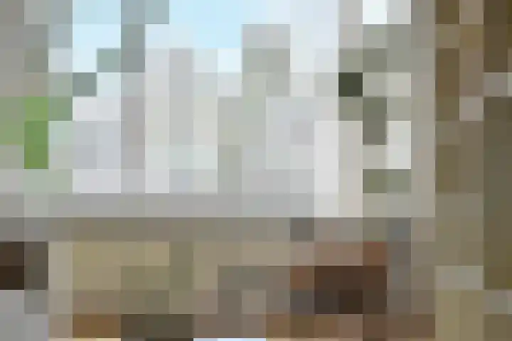Nieuwe Herengracht 77 A Amsterdam thumbnail 5
