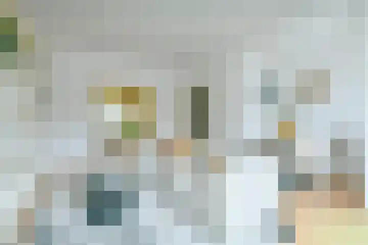 Nieuwe Herengracht 77 A Amsterdam thumbnail 6