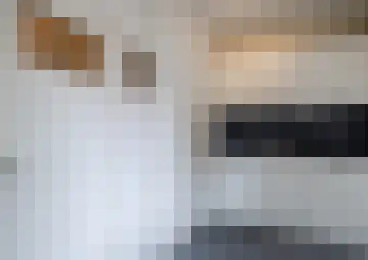 Nieuwe Hescheweg 1 L Oss thumbnail 14