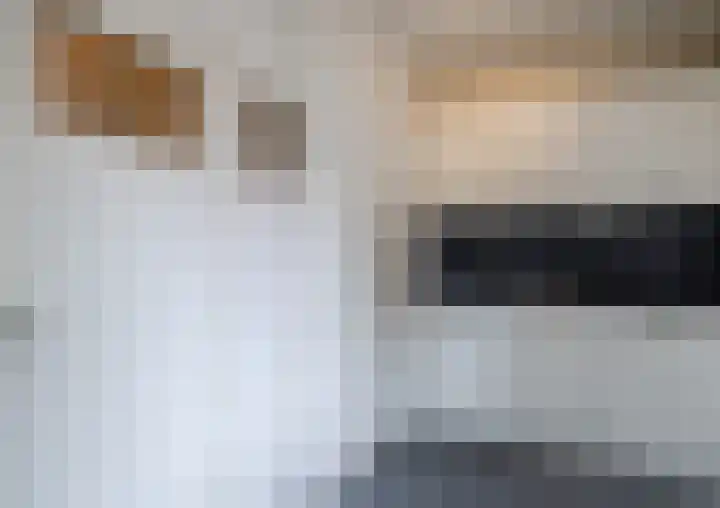 Nieuwe Hescheweg 1 L Oss thumbnail 16