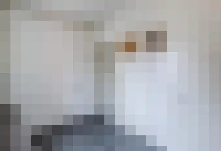 Nieuwe Hescheweg 1 L Oss thumbnail 18