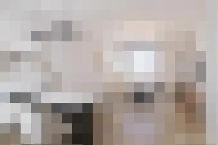 Nieuwe Hescheweg 1 L Oss foto 2