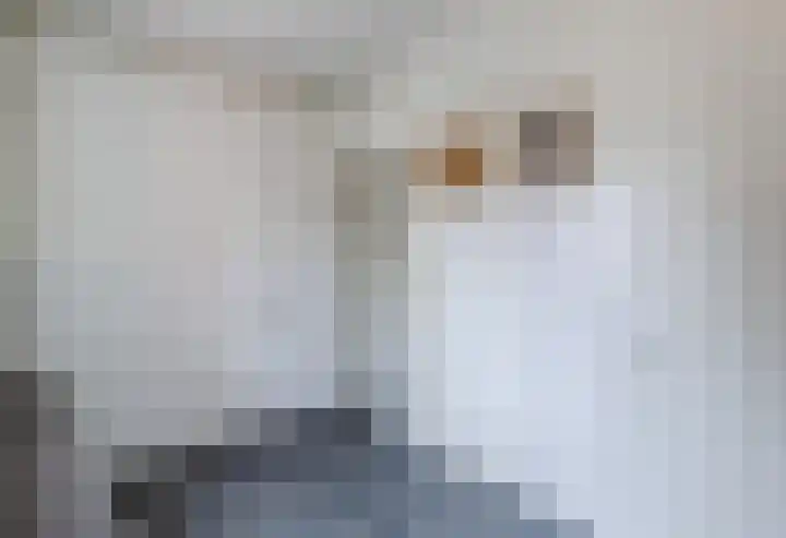 Nieuwe Hescheweg 1 L Oss thumbnail 24