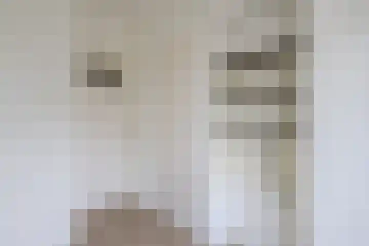 Nieuwe Hescheweg 1 L Oss thumbnail 26