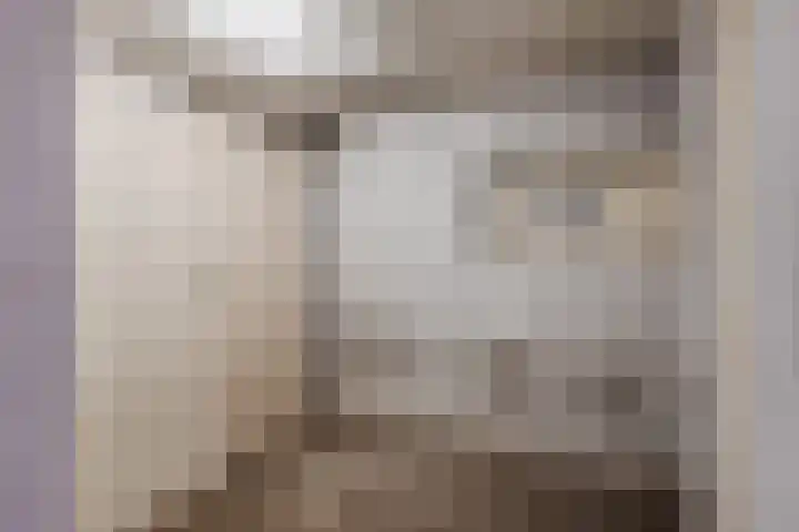 Nieuwe Hescheweg 1 L Oss thumbnail 32