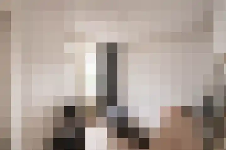 Nieuwe Hescheweg 10 Oss thumbnail 13