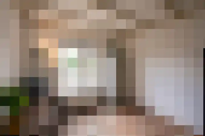 Nieuwe Hescheweg 10 Oss thumbnail 15