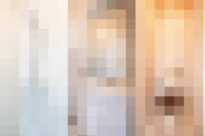 Nieuwe Hescheweg 10 Oss thumbnail 17