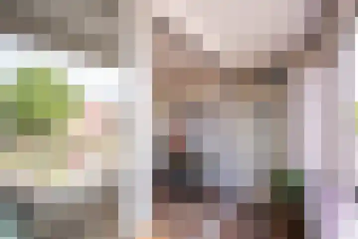 Nieuwe Hescheweg 10 Oss thumbnail 20