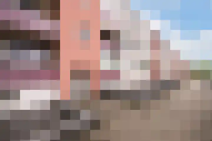 Nieuwe Hescheweg 10 Oss thumbnail 23
