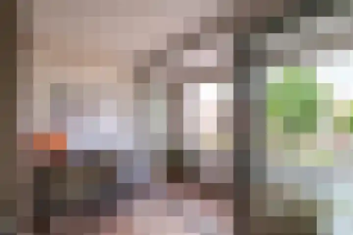 Nieuwe Hescheweg 10 Oss thumbnail 4
