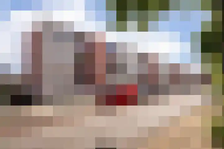 Nieuwe Hescheweg 10 Oss thumbnail 5
