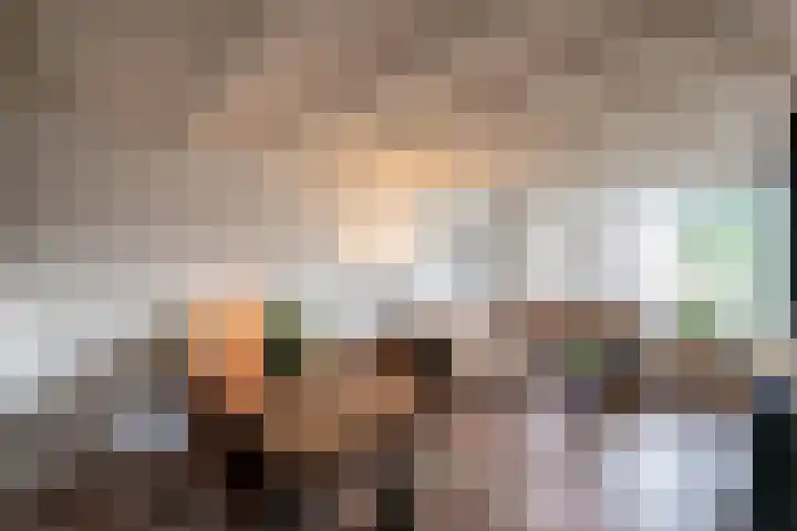 Nieuwe Hescheweg 10 Oss thumbnail 7