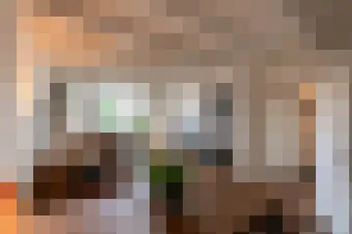 Nieuwe Hescheweg 10 Oss thumbnail 8
