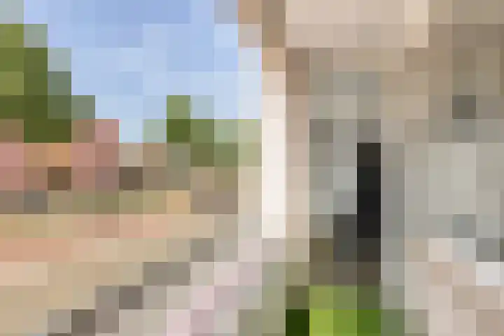 Nieuwe Hescheweg 26 Oss thumbnail 10