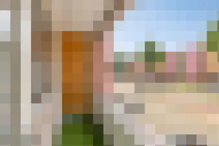 Nieuwe Hescheweg 26 Oss thumbnail 11
