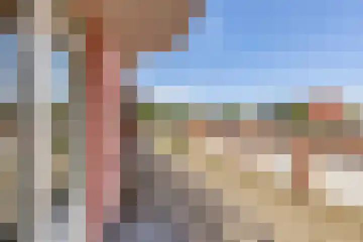 Nieuwe Hescheweg 26 Oss thumbnail 18