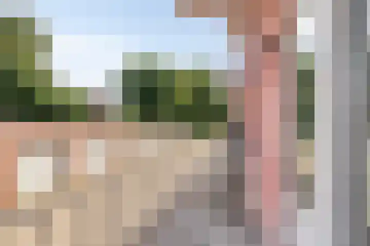 Nieuwe Hescheweg 26 Oss thumbnail 19
