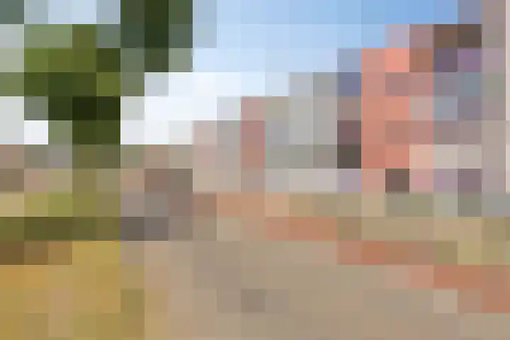 Nieuwe Hescheweg 26 Oss thumbnail 25