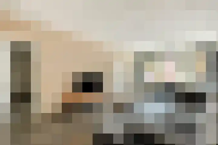 Nieuwe Hescheweg 26 Oss thumbnail 4