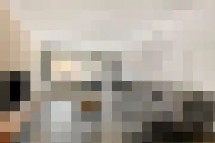 Nieuwe Hescheweg 26 Oss thumbnail 5