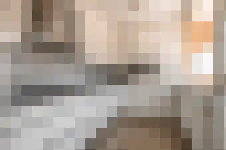 Nieuwe Hescheweg 26 Oss thumbnail 7